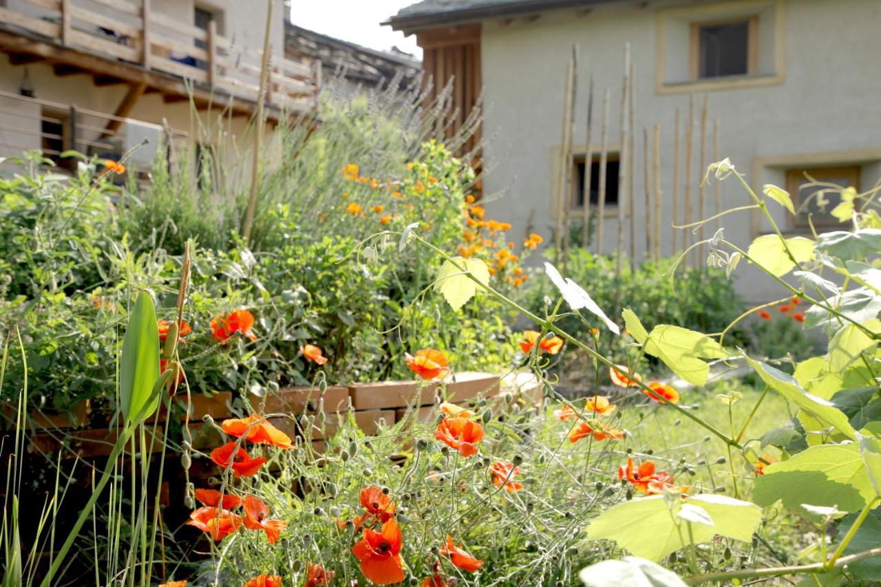 Verrayes La Casa Di Paglia B&B מראה חיצוני תמונה